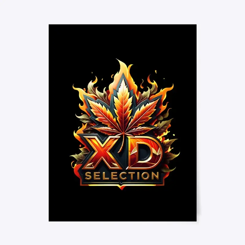 XD Selection Official Merch 